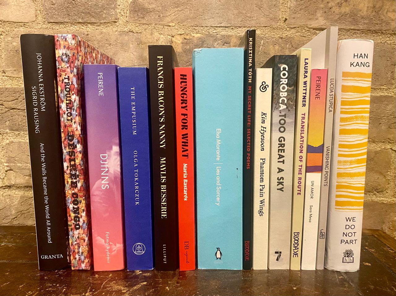 A photograph of the 14 titles longlisted for the Warwick Prize for Women in Translation in 2025